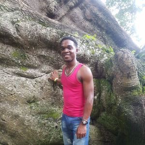 Meet your Posher, Dwight